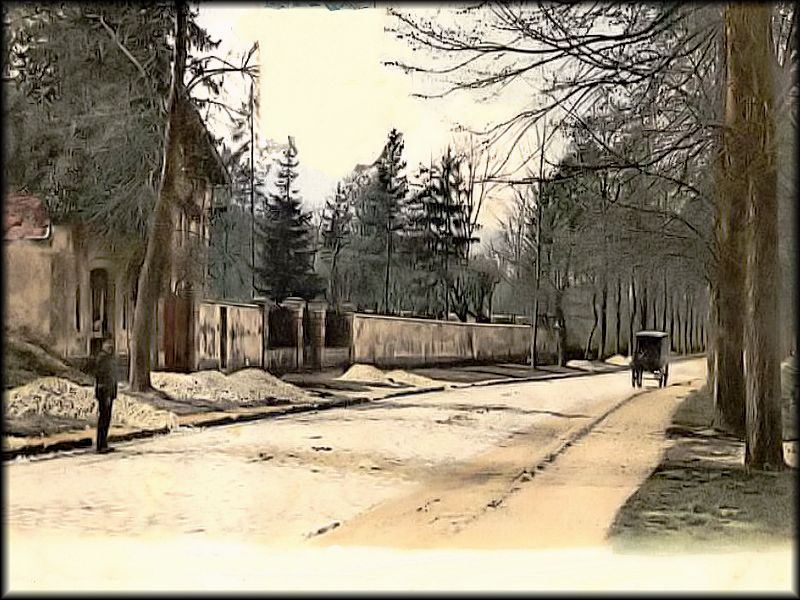 Haut cote St Marc et chapelle 4