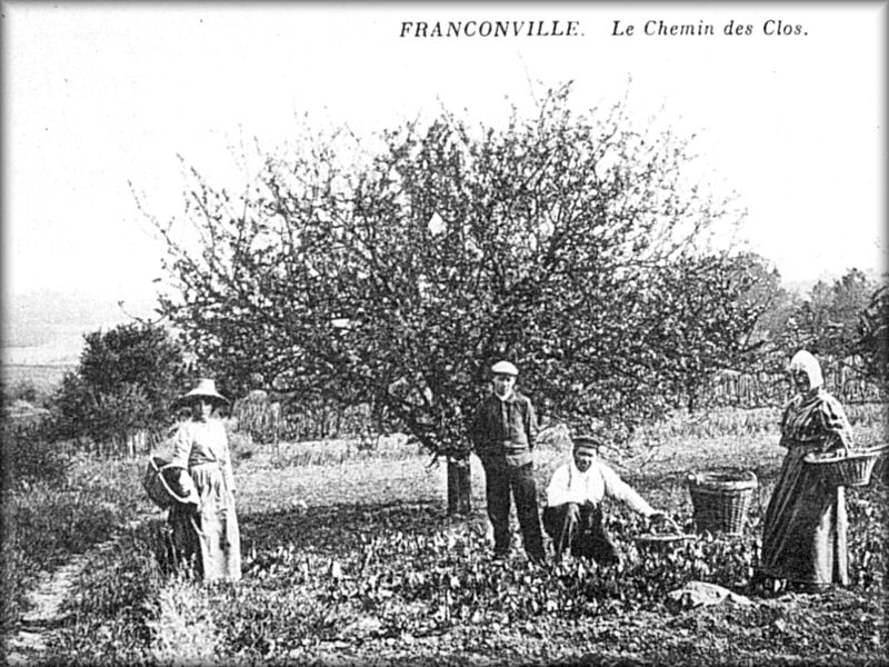 41 Le Chemin du Clos