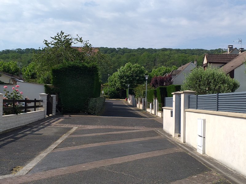 --------------------